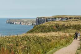 A panoramic view of RSPB Bempton Cliffs, with a couple walking along a path with their dog.