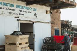Bridlington Shellfish Co Ltd
