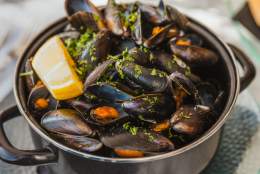 Mussels from Salt on the Harbour