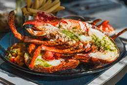 A plated dish of fresh Bridlington Bay Lobster ready to enjoy at Salt on the Harbour.