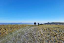 People walking on a frosty path at Harting Down in West Sussex
