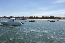 A view of boats on the water at Itchenor on Chichester Harbour