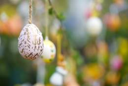 Patterned eggs hand from branches
