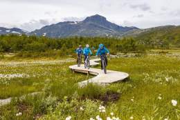 Biking experiences in Valdres