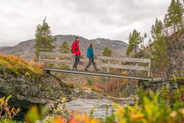 Explore season