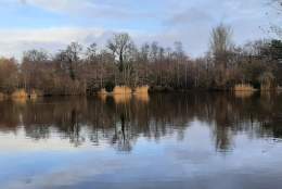 Lakeside Nature Reserve