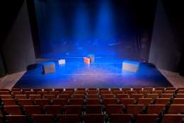 Auditorium of the Electric Theatre