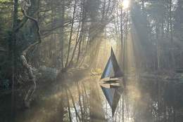 The Sculpture Park,  an enchanting place to visit in Surrey