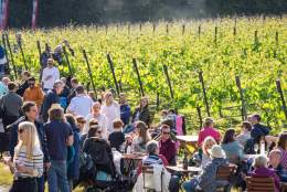 Chilworth Manor Vineyard - VoSH Summer Spectacular