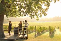 Denbies Wine Estate