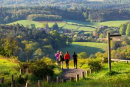 Newlands Corner late summer - people enjoying a walk with a view