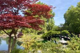 Stoke Park in June