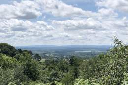 Holmbury Hill