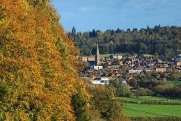 Dorking