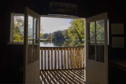 Winkworth Arboretum - National Trust Images - Laurence Perry