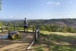 The viewpoint at Devils Punchbowl - Image credit: National Trust