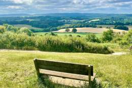 Newlands Corner - bench with views