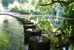 Stepping Stones over the River Mole