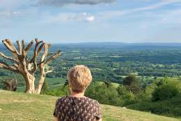 Woman overlooking the rolling green countryside at Leith Hill Surrey