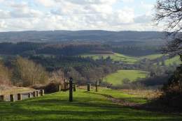 View from Newlands Corner, near Guildford