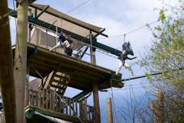 Kids enjoy activities at Wild Wood Adventure