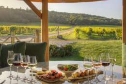 Wine tasting at Denbies Wine Estate