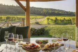 Wine tasting at Denbies Wine Estate