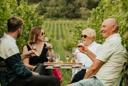 Albury Vineyard Tours and Tastings