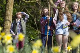 Family Fun at the National Trust Winkworth Arboretum in Spring