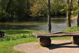 A bench overlooking a lake