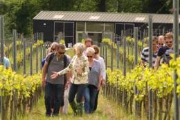 Group of people on a tasting tour on an Albury vineyard near Guildford