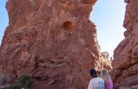 Mild to Wild National Park Tour