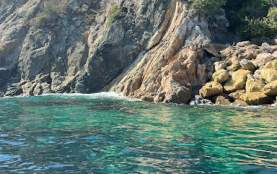Zip Line Eco Tour on Catalina Island