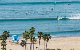 The Art of the Perfect Wave