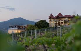 DTN - STL - Gray Monk Estate Winery