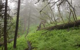 McDouglas Rim Hike