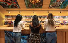 Wine Tasting at The Vibrant Vine Winery 3