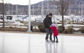 Stuart Park Skating