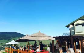 Blind Tiger Vineyards
