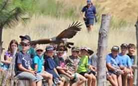 Allan Brooks Nature Centre