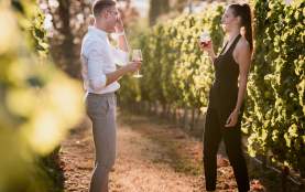 Cheers - Grizzli Vineyard