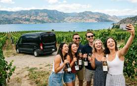 Bare Wine Tours