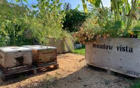 Meadow Vista Honey Wines