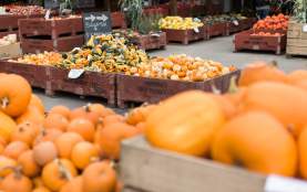 Fall harvest season at Paynter's Fruit Market in West Kelowna, Okanagan Valley