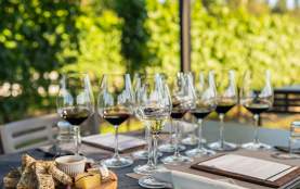 Ex Nihilo Paired Tasting