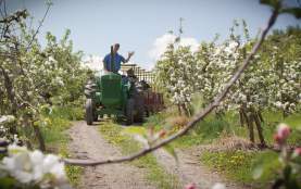 Johnny Popper tractor train touring the orchards and gardens at Davison Orchards Country Village in Vernon, BC