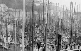 A true frontier screen grab 3