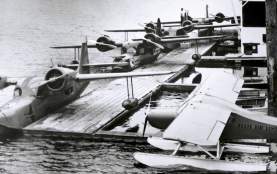 Bush Pilots screen grab