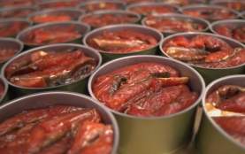 Fish Story Screen Grab 1