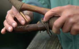 Fish Story Screen Grab 2